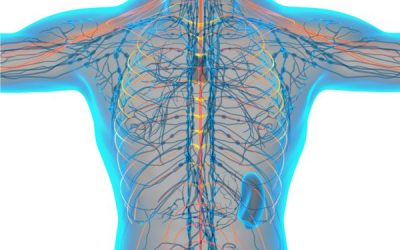 5 Easy Ways to Stimulate Your Vagus Nerve